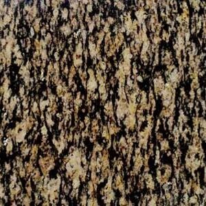 Panther Skin Granite