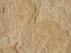 Bijoliya Sandstone