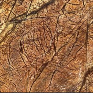 Forest Brown Marble