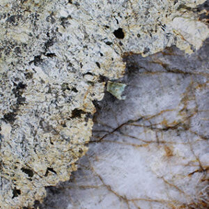 Champagne Crystal Granite