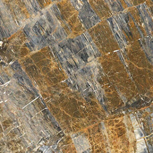 Dijon Blue Marble
